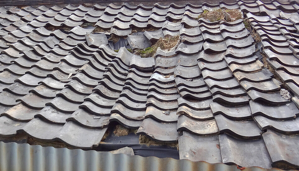 管理されていない空き家・空き地のリスク